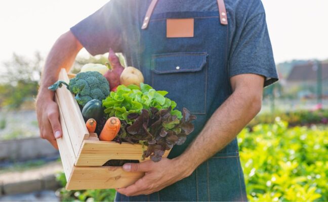 Os benefícios dos alimentos orgânicos para a saúde